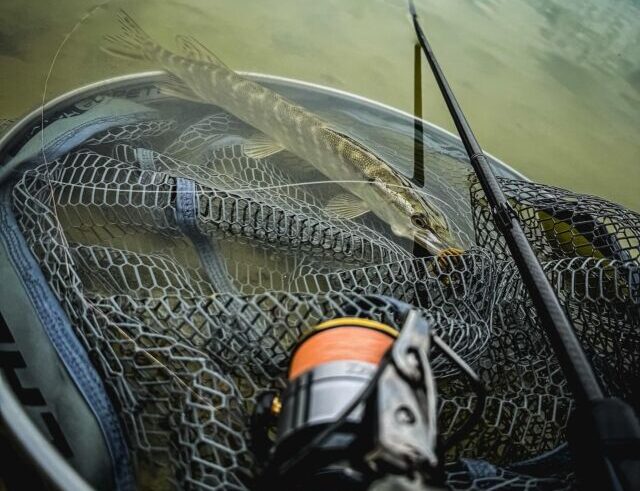 Лучшее время для клёва